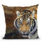 Tiger Siberian Throw Pillow By David Stribbling