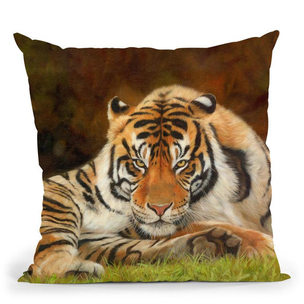 Tiger Stare Throw Pillow By David Stribbling