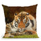 Tiger Stare Throw Pillow By David Stribbling