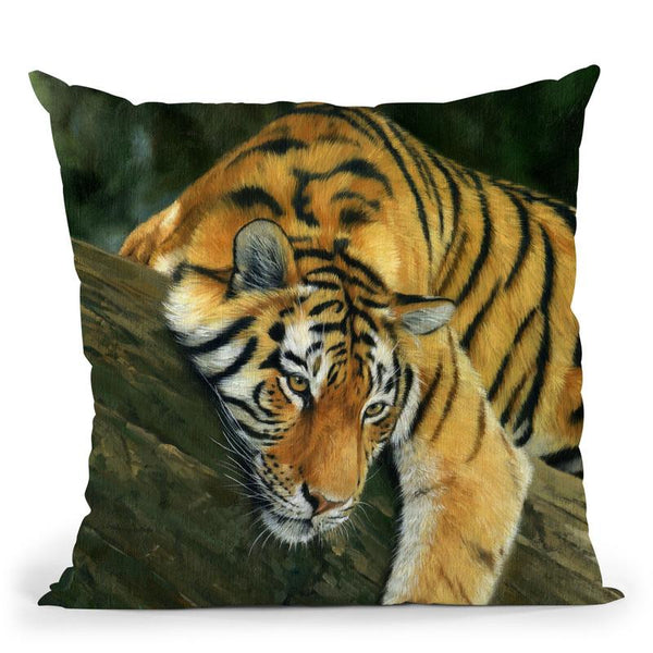 Tiger Tree Branch Throw Pillow By David Stribbling