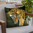 Tiger Tree Branch Throw Pillow By David Stribbling