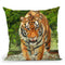 Tiger V Throw Pillow By David Stribbling