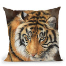 Tiger Xi Throw Pillow By David Stribbling