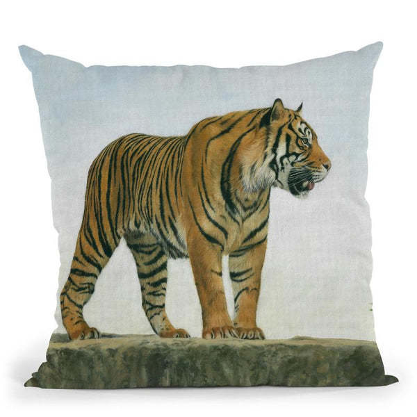 Tiger X Throw Pillow By David Stribbling