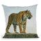 Tiger X Throw Pillow By David Stribbling