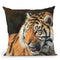 Tiger Viiii Throw Pillow By David Stribbling