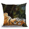 Tiger Back Throw Pillow By David Stribbling