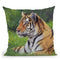 Tiger Grass Throw Pillow By David Stribbling