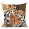 Tiger Love Throw Pillow By David Stribbling