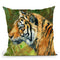 Tiger Profile Throw Pillow By David Stribbling