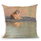 Tiger Water Throw Pillow By David Stribbling