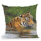 Tiger Water I Throw Pillow By David Stribbling