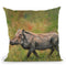 Warthog Throw Pillow By David Stribbling