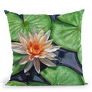 Water Lily Throw Pillow By David Stribbling