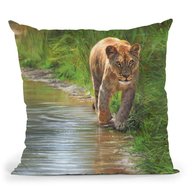 Water'S Edge Lioness Throw Pillow By David Stribbling