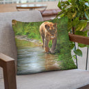 Water'S Edge Lioness Throw Pillow By David Stribbling