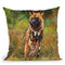 Wild Dog Throw Pillow By David Stribbling