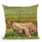 Young Lion Running Throw Pillow By David Stribbling