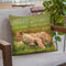 Young Lion Running Throw Pillow By David Stribbling