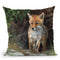 Young Redfox Throw Pillow By David Stribbling