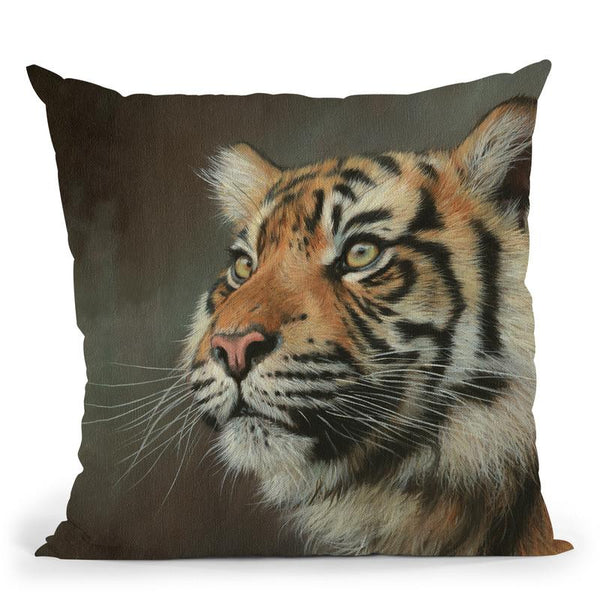 Young Sumatran Tiger Portrait Throw Pillow By David Stribbling