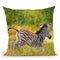Young Zebra Running Throw Pillow By David Stribbling