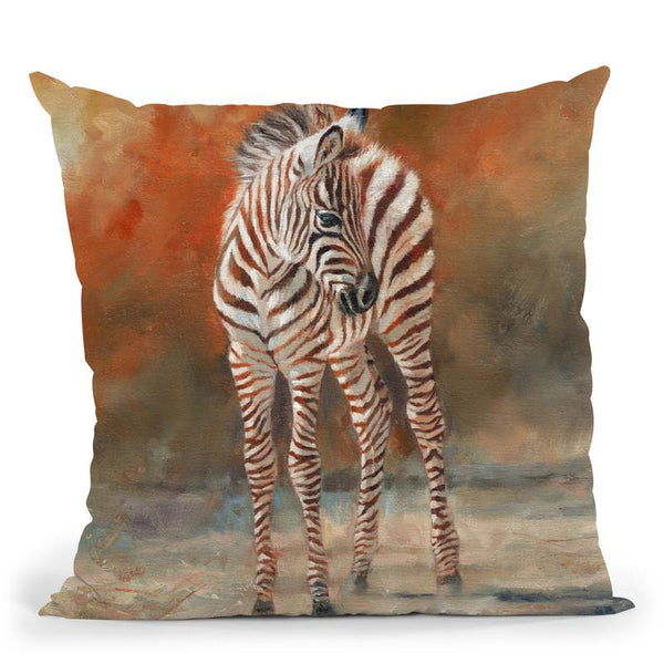 Zebra Foal Standing Throw Pillow By David Stribbling