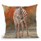 Zebra Foal Standing Throw Pillow By David Stribbling