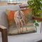 Zebra Foal Standing Throw Pillow By David Stribbling
