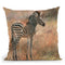 Zebra Foal Throw Pillow By David Stribbling