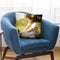 Little Kitty Throw Pillow By Diogo Verissimo