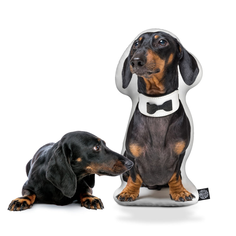 Personalized Dachshund Pillow