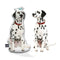 Personalized Dalmatian Pillow