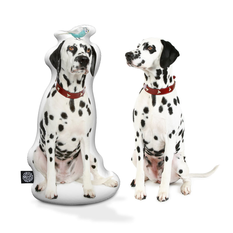 Personalized Dalmatian Pillow