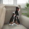 Personalized Doberman Pinscher Pillow