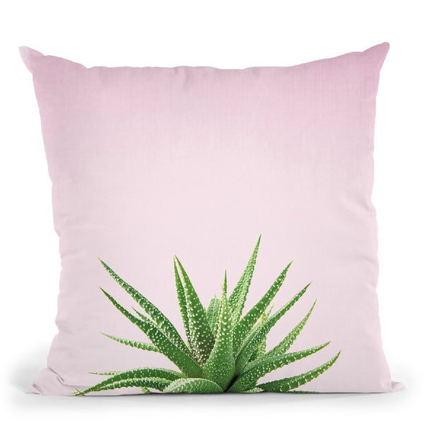 Succulent Simplicity I On Pink Throw Pillow By Felicity Bradley