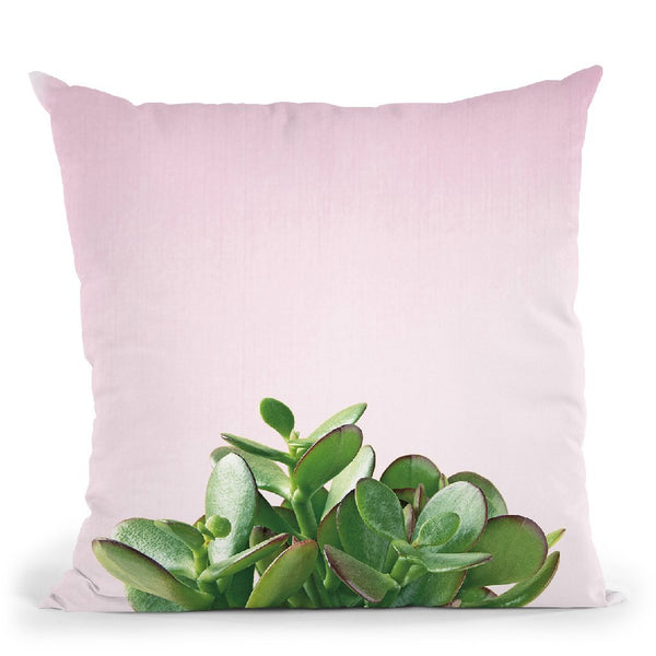 Succulent Simplicity Iii On Pink Throw Pillow By Felicity Bradley