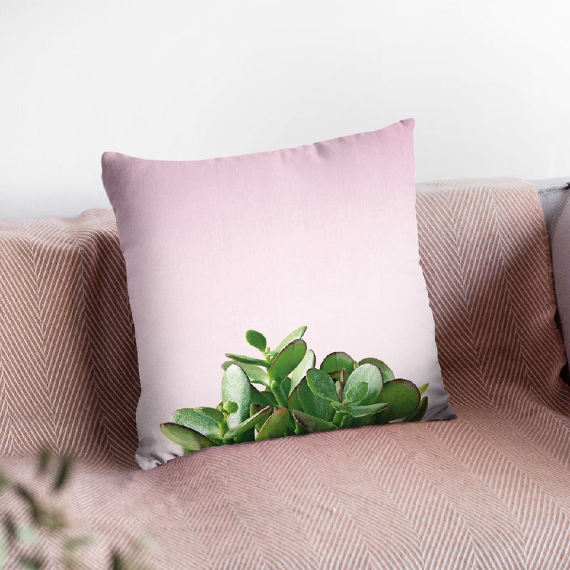 Succulent Simplicity Iii On Pink Throw Pillow By Felicity Bradley