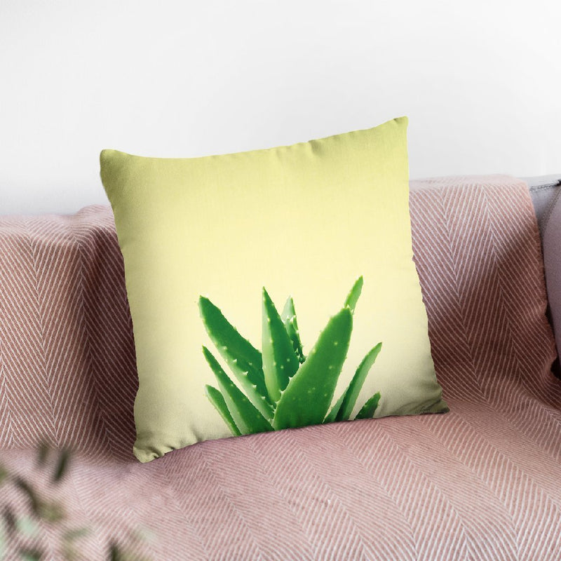 Succulent Simplicity V Throw Pillow By Felicity Bradley