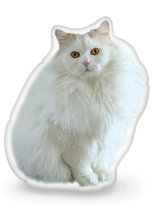 Louie Full Floolouf Throw Pillow