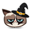 Grumpy Cat A Pinch Of Grumpy Throw Pillow