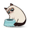Grumpy Cat Fill My Bowl Throw Pillow