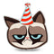 Grumpy Cat Grumpy Birthday Throw Pillow