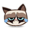 Grumpy Cat Joy Throw Pillow