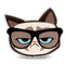Grumpy Cat Nerd Throw Pillow