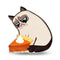 Grumpy Cat Pumpkin Pie Throw Pillow