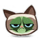 Grumpy Cat Sick Throw Pillow