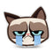 Grumpy Cat Sob Throw Pillow