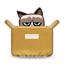 Grumpy Cat The Box Is Better Throw Pillow