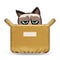 Grumpy Cat The Box Is Better Throw Pillow